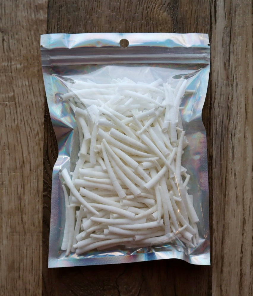 Large Dentalium Shells